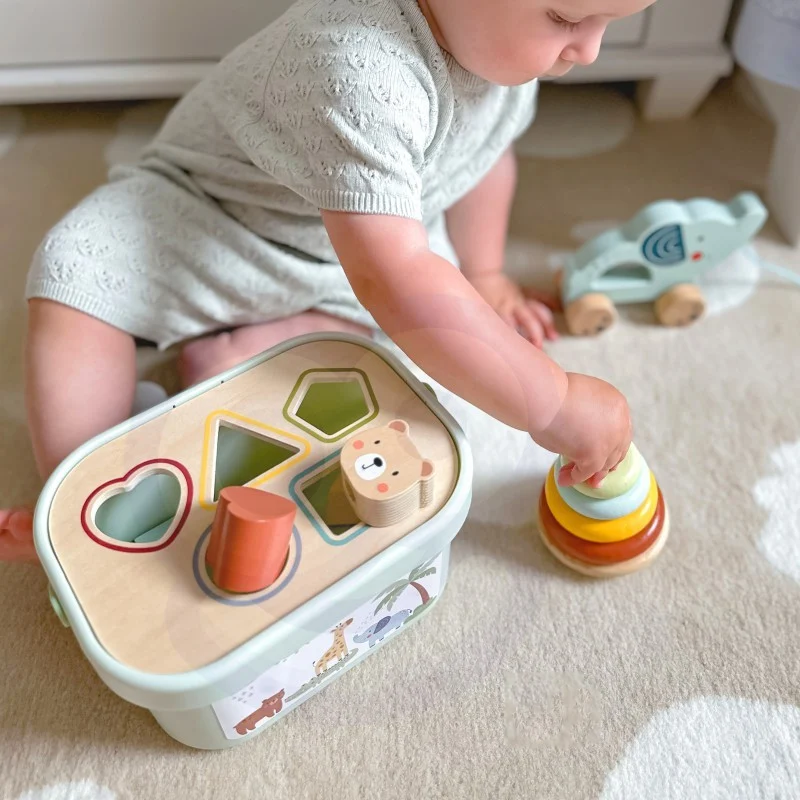3-in-1 Toy Box with Sorter and Pyramid, photo 12