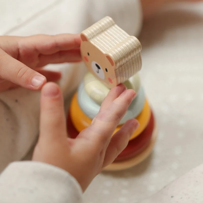 3-in-1 Toy Box with Sorter and Pyramid, photo 7