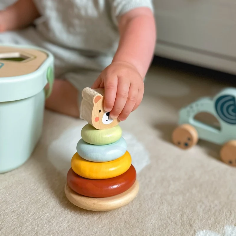 3-in-1 Toy Box with Sorter and Pyramid, photo 11