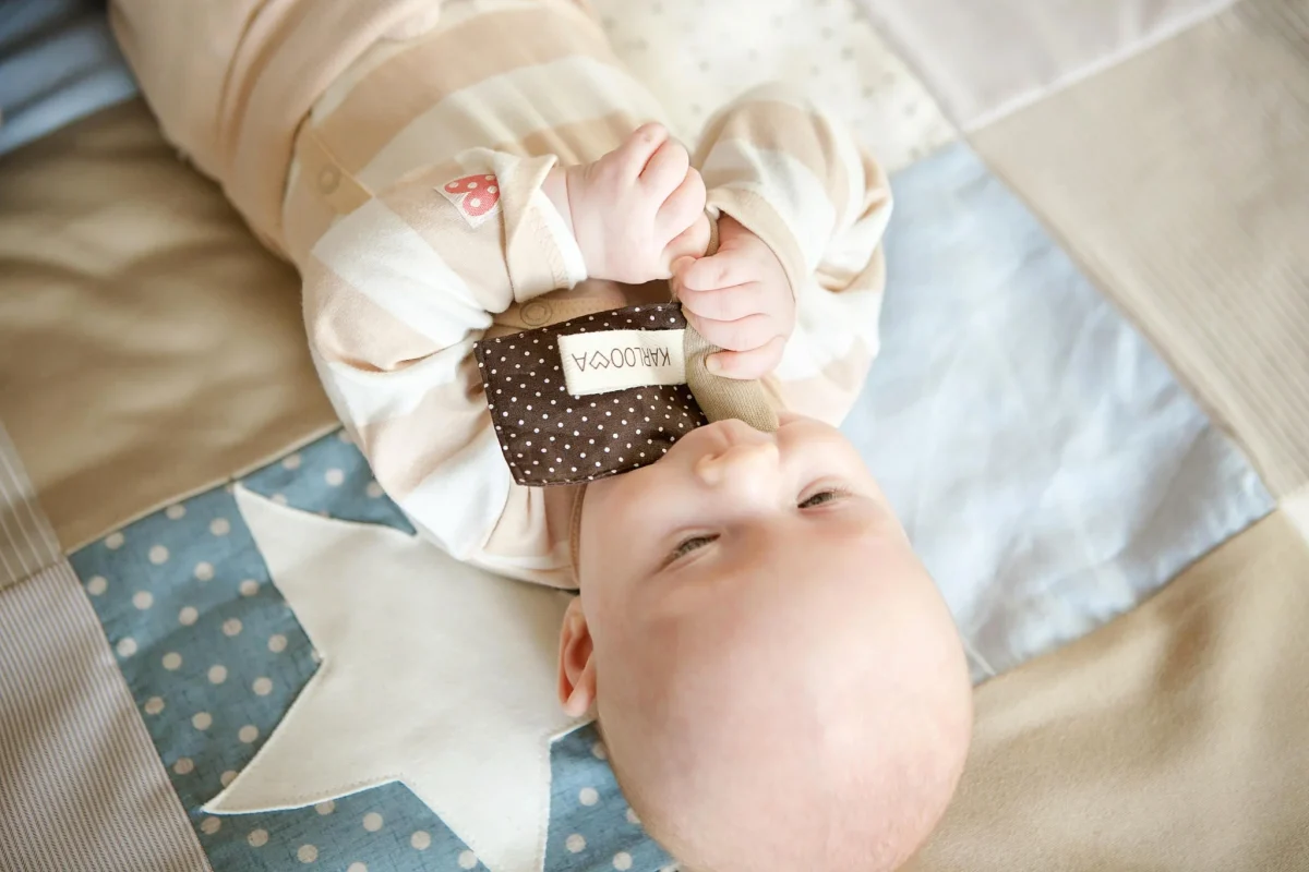 Baby Gift Set: Comforter and Rustling Flag, photo 6