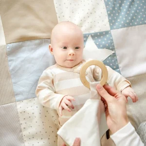Baby Gift Set: Comforter and Rustling Flag, photo 3