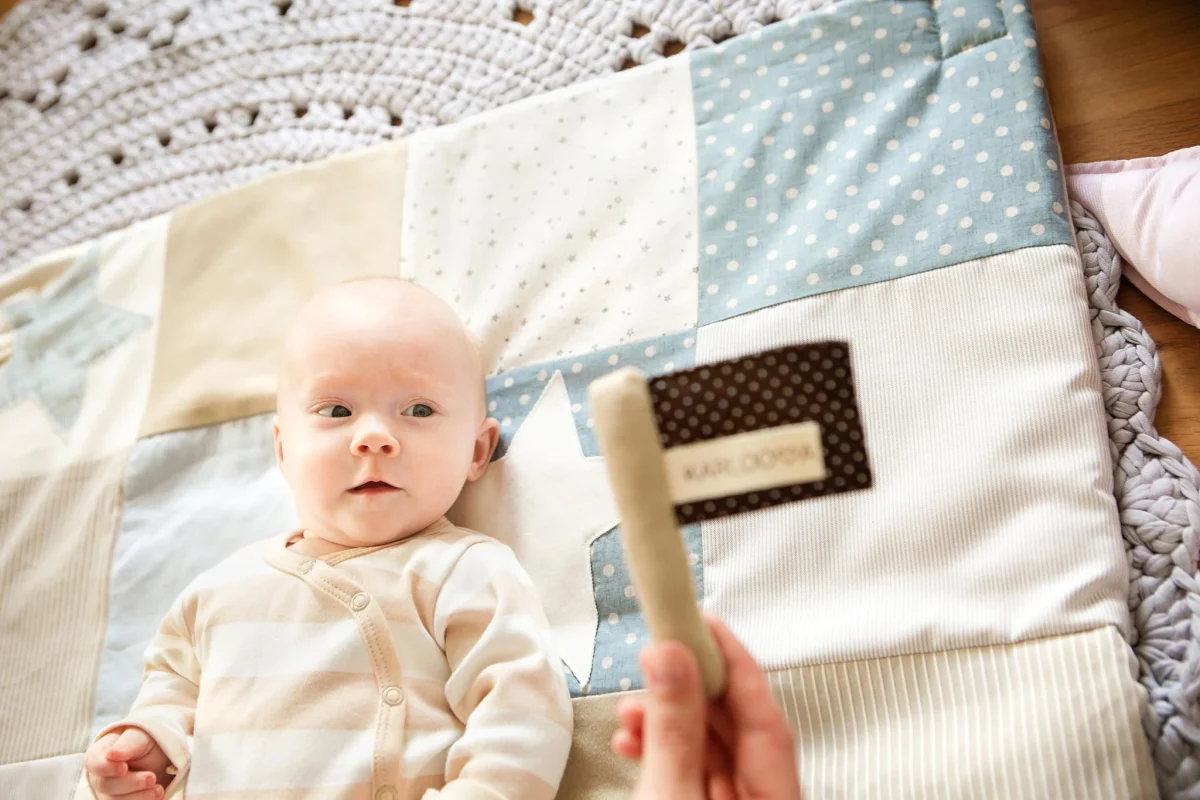 Baby Gift Set: Comforter and Rustling Flag, photo 5