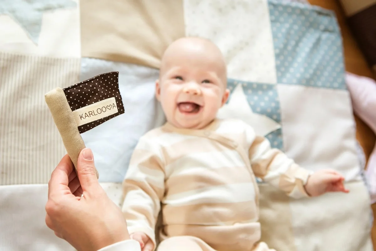 Baby Gift Set: Comforter and Rustling Flag, photo 4