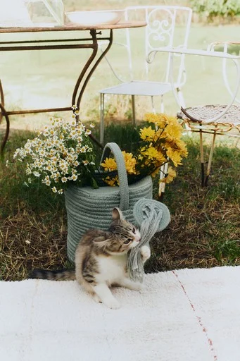 Lorena Canals Watering Can — Decorative Basket, photo 3