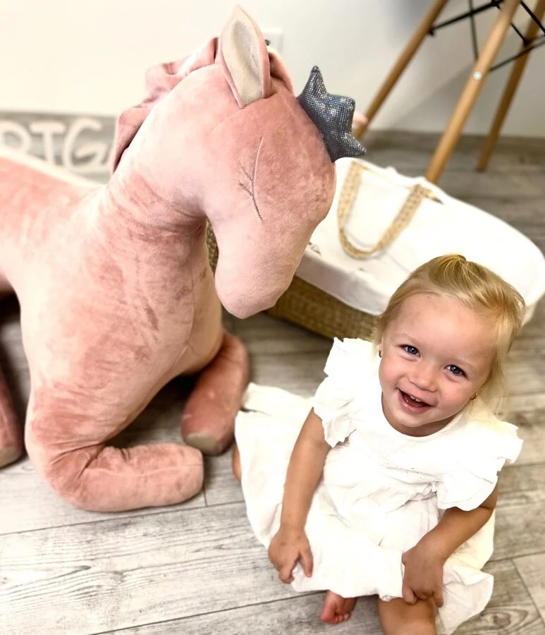 Giant Soft Pegasus, 90 cm, photo 4