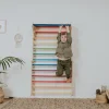 Pikler Triangle with Swedish Wall — Rainbow