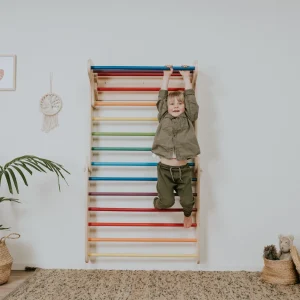 Pikler Triangle with Swedish Wall — Rainbow