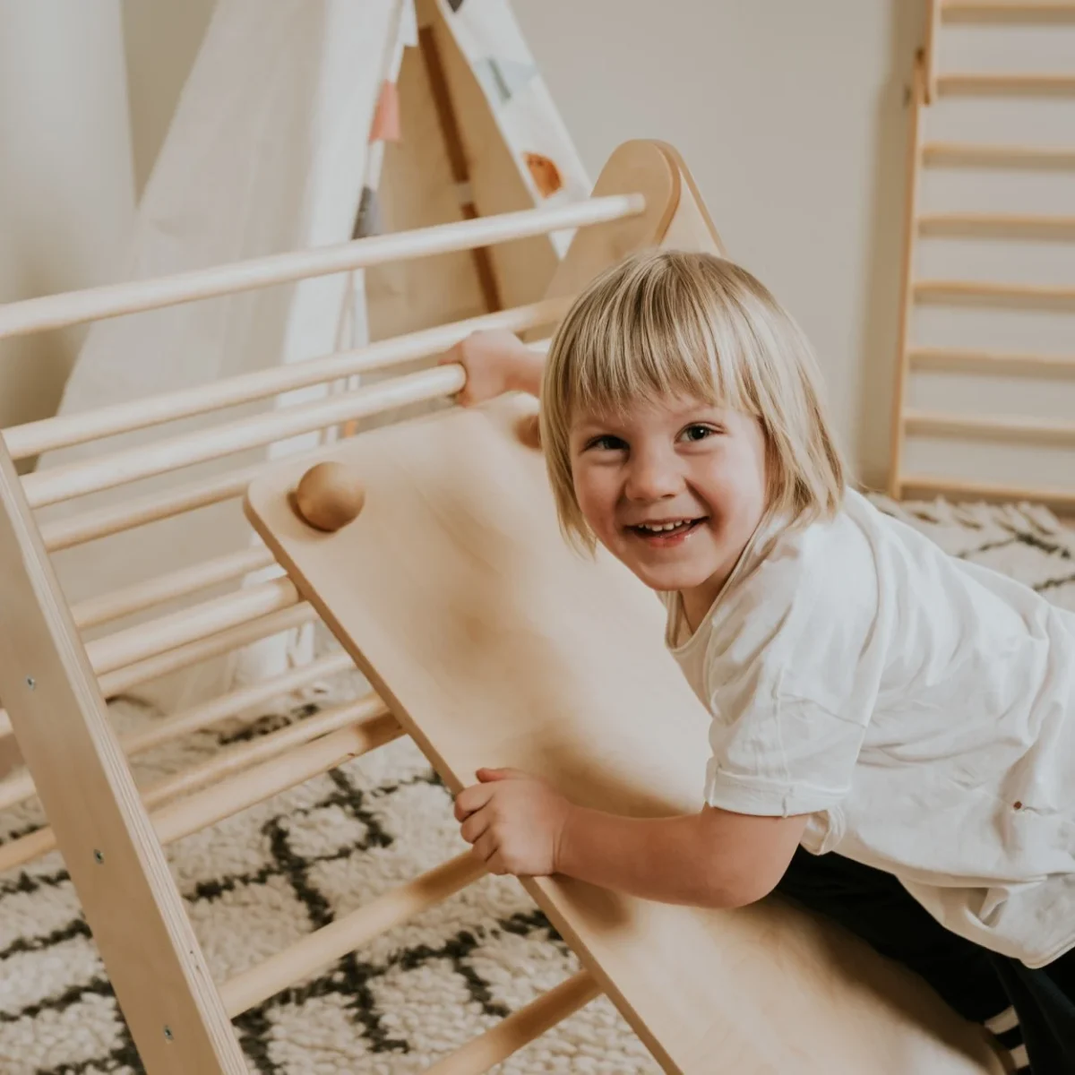 Ronimislaud-liumägi Pikleri kolmnurgale leg&go, foto 6