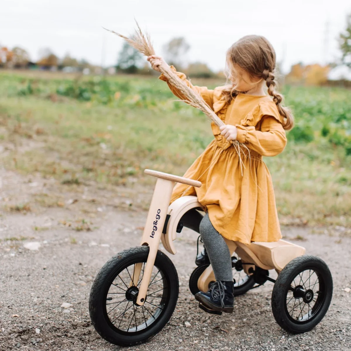 Tricycle Add-on for the leg&go Balance Bike 3in1, photo 2