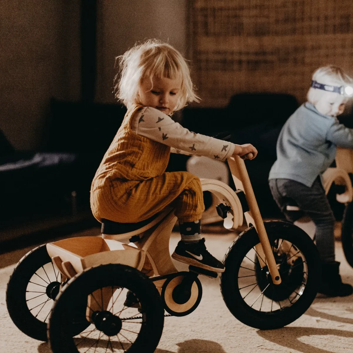 Tricycle Add-on for the leg&go Balance Bike 3in1, photo 7