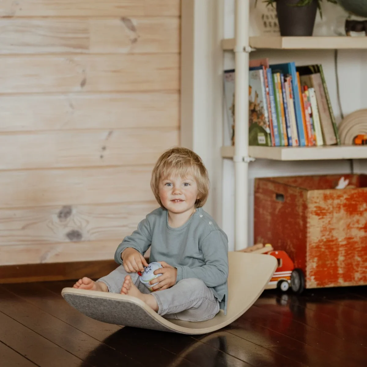 Wooden Balance Board With Grey Felt, photo 3