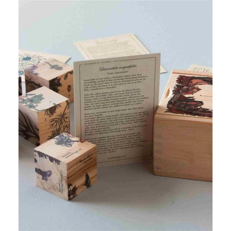 Wooden Story Bee Life — Wooden Blocks, photo 3