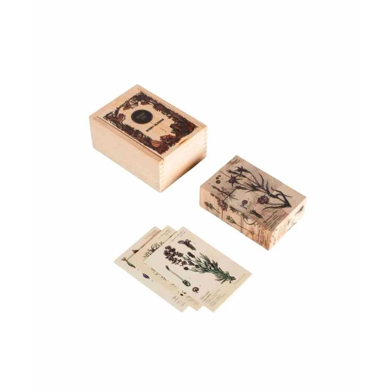 Wooden Story Bee Life — Wooden Blocks