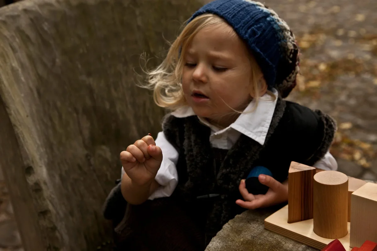 Wooden Shape Sorting Blocks, photo 2