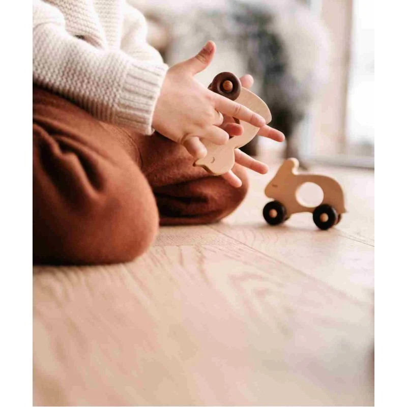 Wooden Duck on Wheels, photo 4