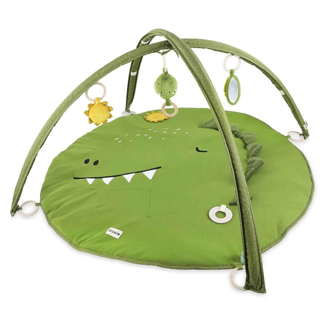 Activity Play Mat with Two Arches and Toys